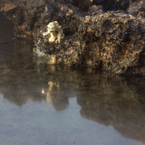 And all we wished was to catch fish... Toy photography by Tom Milton