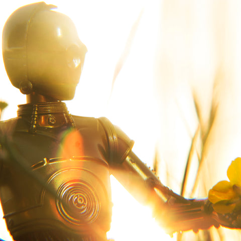 Goldenrod. Toy photography by Tom Milton