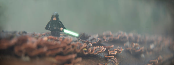 The Force is timeless, but we Jedi have not always been present to interpret its teachings. Toy photography by Tom Milton